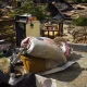 Asesinato de agricultor provoca disturbios y desalojo de haitianos en comunidad de Espaillat